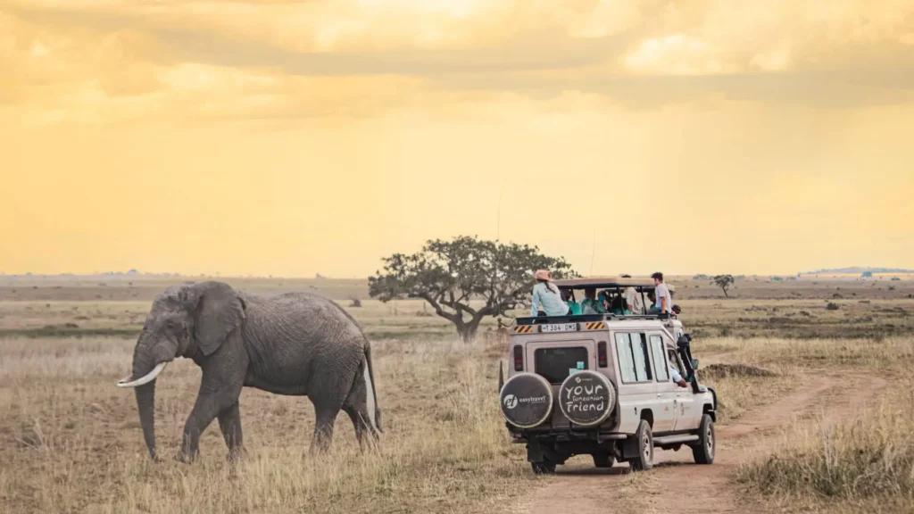Embark on a Wild Expedition: Unveiling the Best Serengeti Safari Tours serengeti national