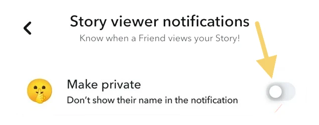 story view notifications private feature