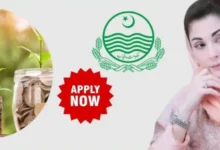 asaan karobar loan how to apply and eligibility criteria