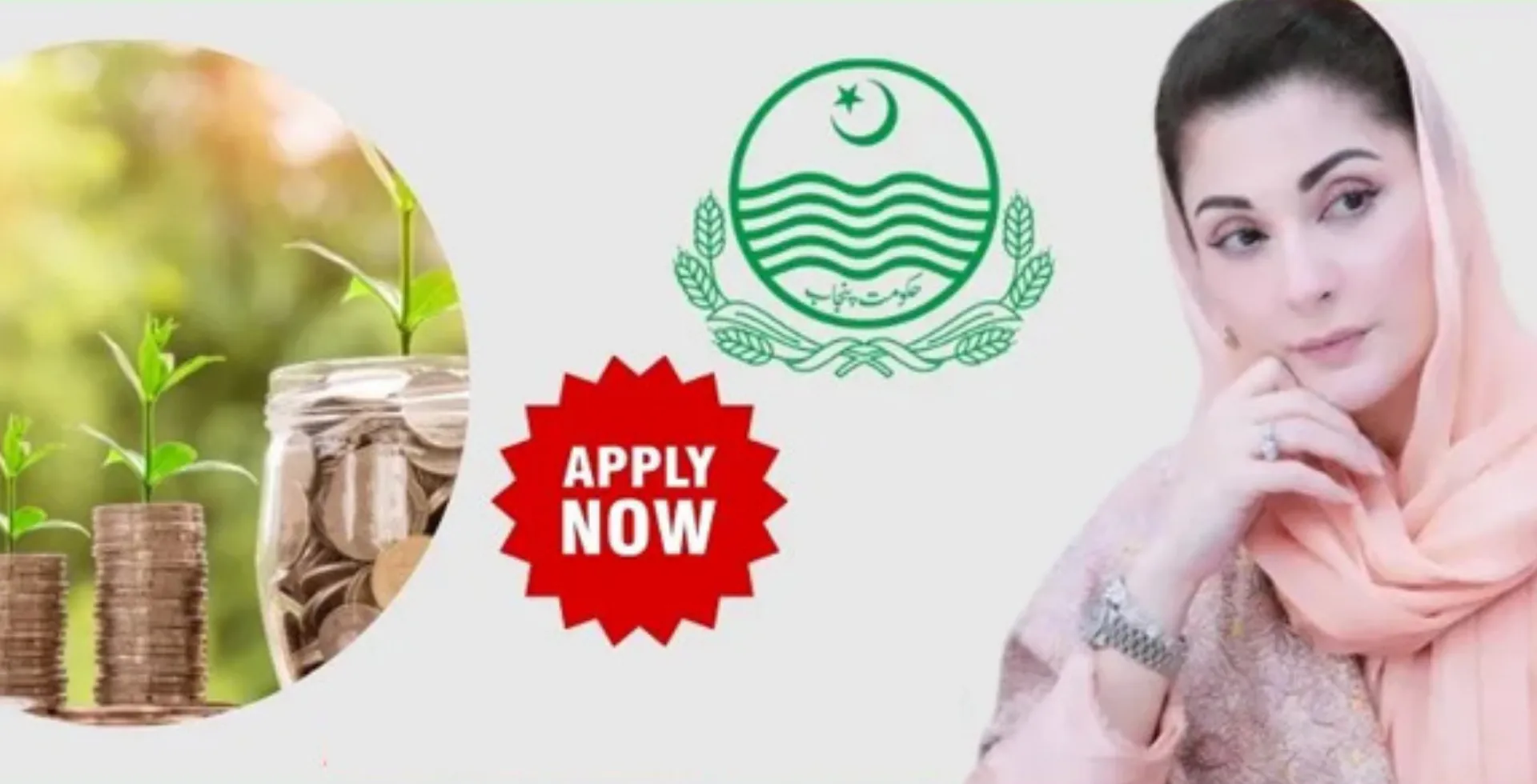 asaan karobar loan how to apply and eligibility criteria