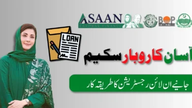 cm punjab asaan karobar finance loan scheme