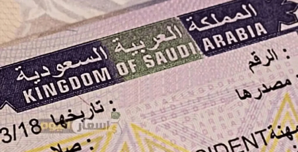 how to get saudi arabia study visa