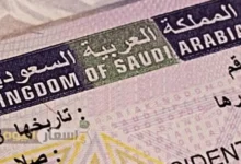 how to get saudi arabia study visa
