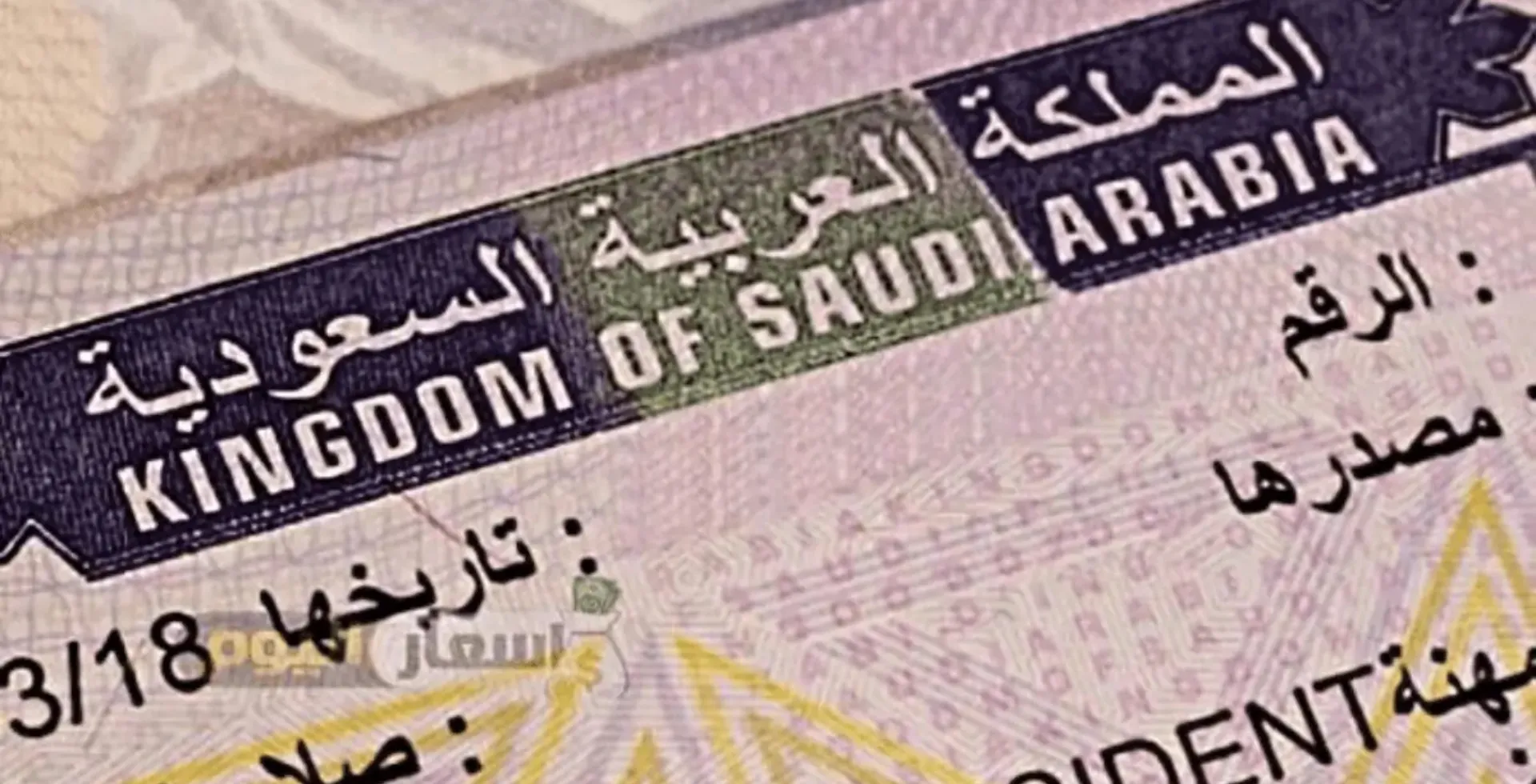 how to get saudi arabia study visa
