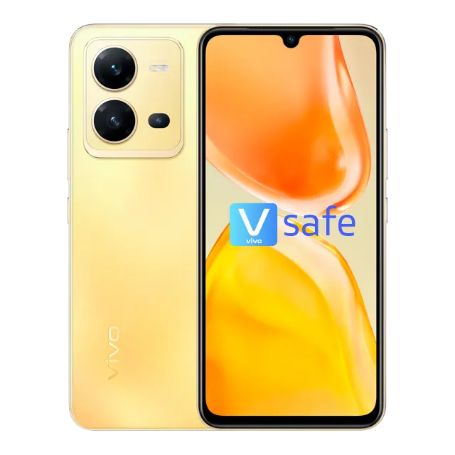 vivo v25