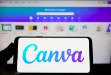 best canva alternatives