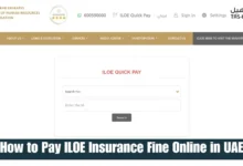 pay iloe insurance fine online in uae