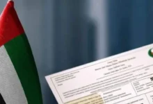 apply for clear criminal record certificate in uae