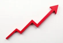why every growing business needs an it consultant