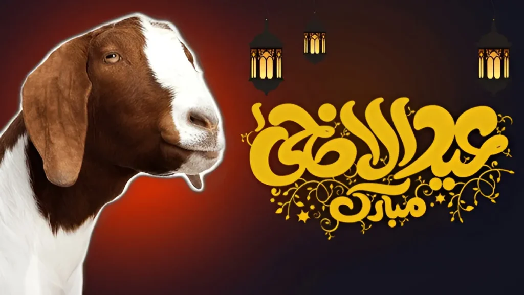 happy bakri eid wishes quotes greetings status 1