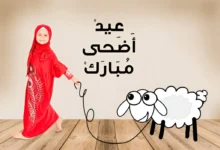 happy bakri eid wishes quotes greetings status