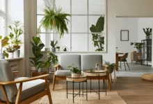the art of indoor gardening choosing the perfect plant pots