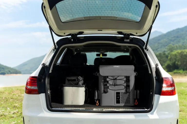 the portable fridge thats changing how we picnic road trip and live our best summer lives