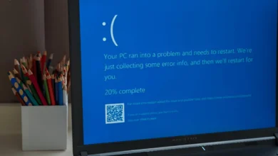 windows 11 24h2 bsod fix easy anti cheat