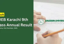 zueb karachi 9th class annual result