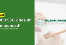 zueb ssc 2 annual exams result matric
