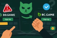 b9 game a bc game clone the copycat controversy that made headlines across the igaming space