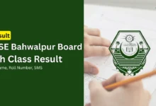bise bahawalpur board matric gazette pdf 9th class ssc 1