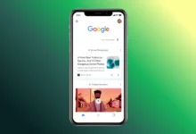 google discover feed multi language support
