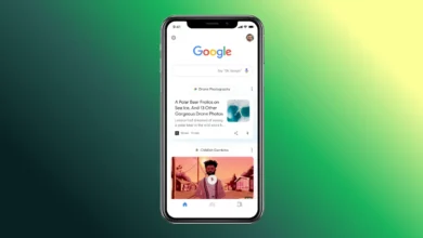 google discover feed multi language support