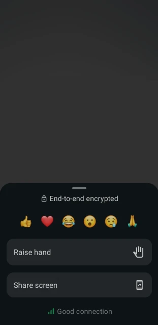 whatsapp new group call features hand raise reactions