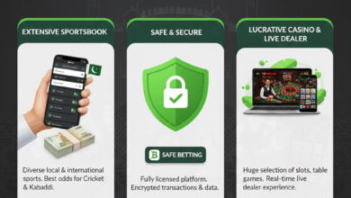 bjbaji-a-premier-gambling-destination-for-pakistani-punters