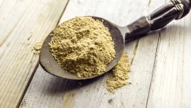 kava kava powder unlocking natural calm and well being