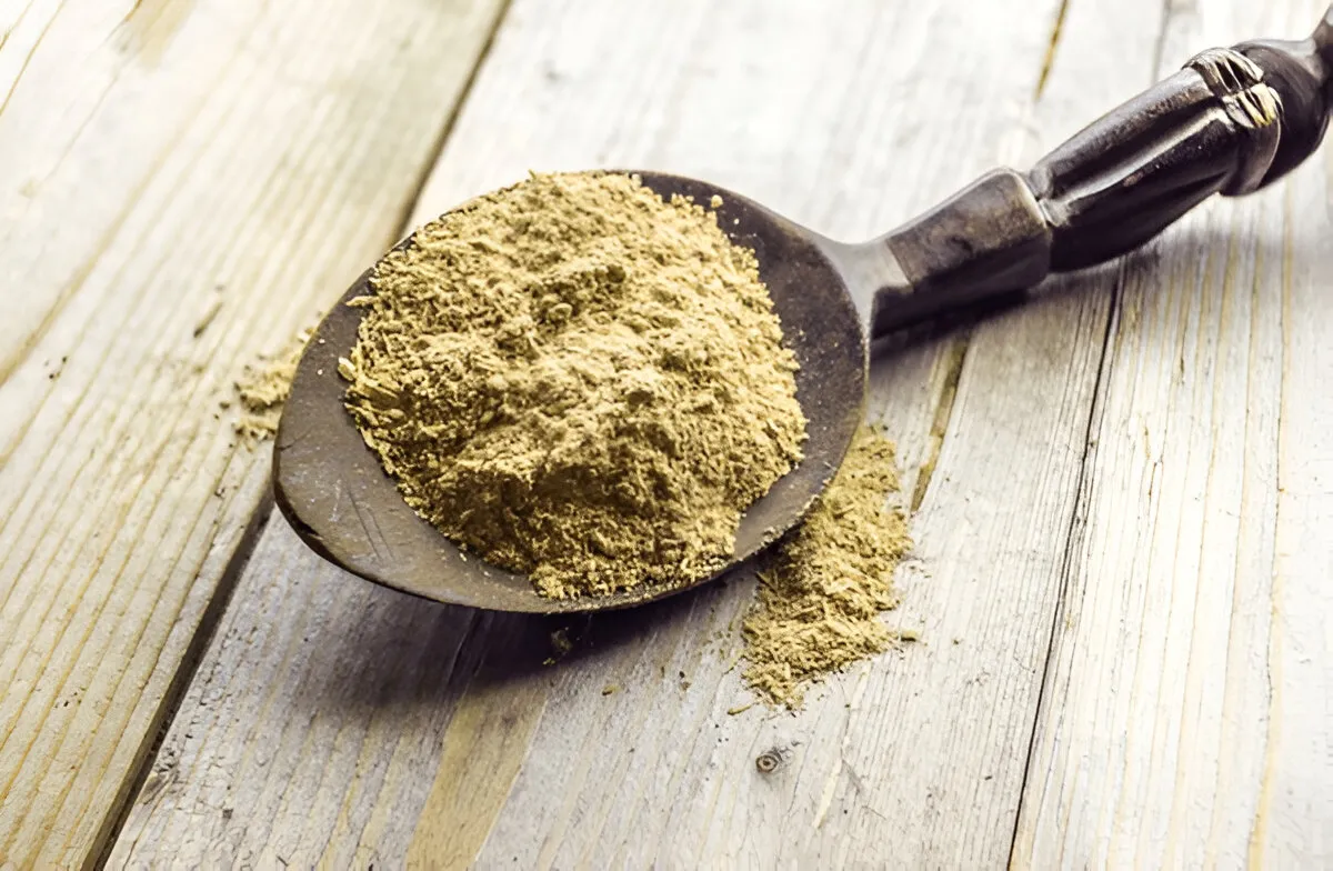 kava kava powder unlocking natural calm and well being