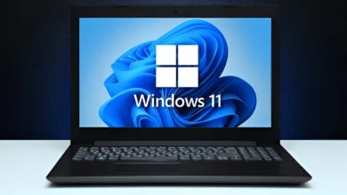 install windows 11 offline