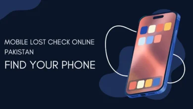 Token Tax Check Online Pakistan – Updated 2025 Method