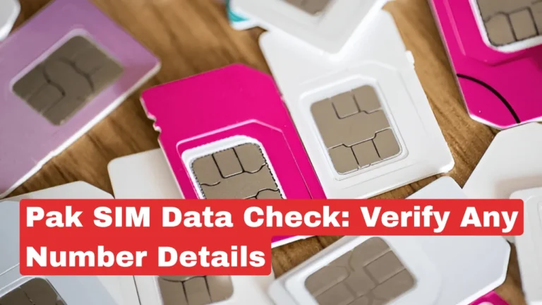 pak sim data check