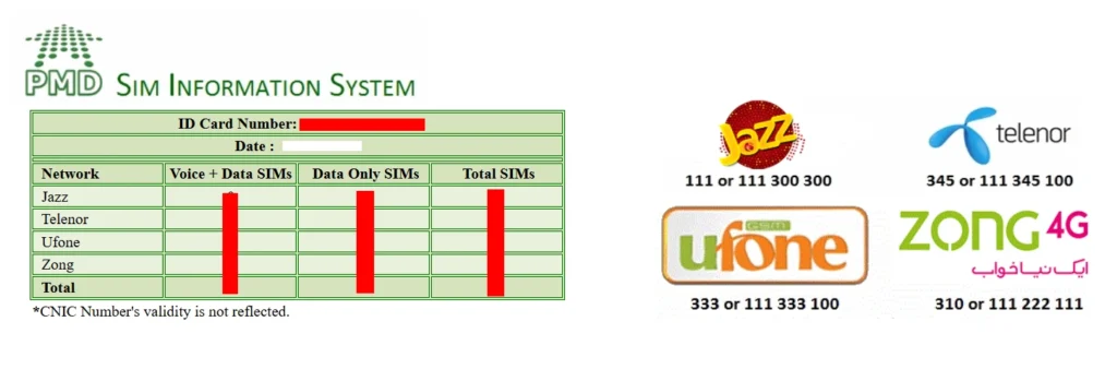 sim info check result