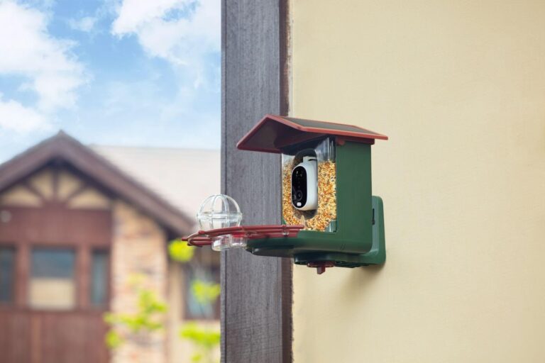 black-friday-gift-guide-detiko-smart-bird-feeders-the-perfect-blend-of-nature-and-technology