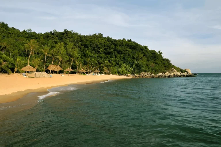 cham island day trips from hoi an beaches snorkeling nature