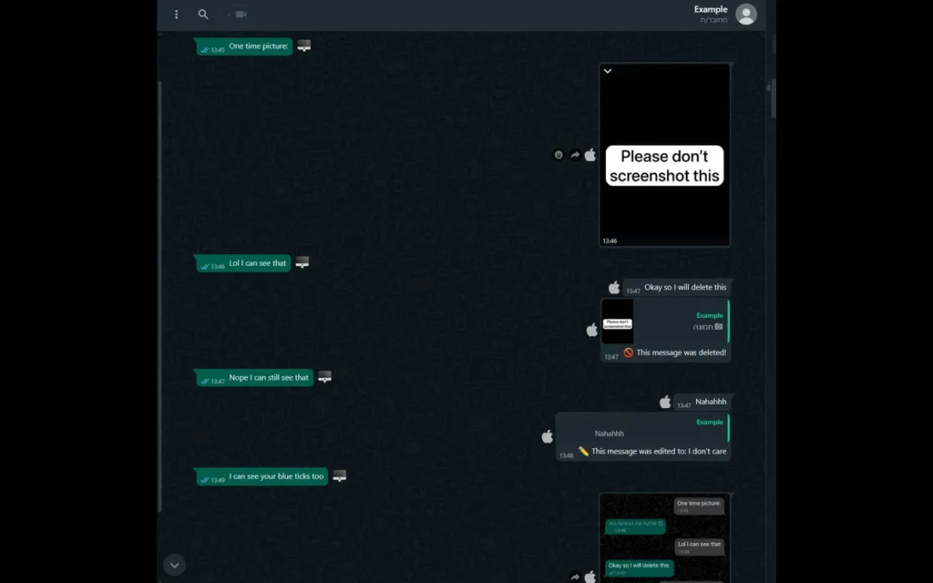 whatsapp web plus