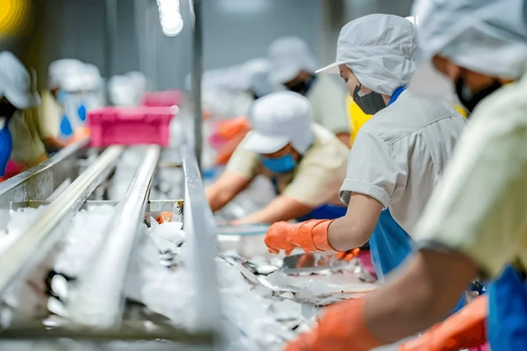 scaling innovation how automated food processing solutions drive global production