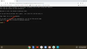 What are CROSH Commands in Chromebook? Complete Guide